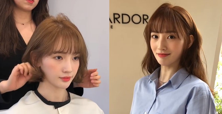 标准眉的画法步骤,河北志愿填报步骤图解