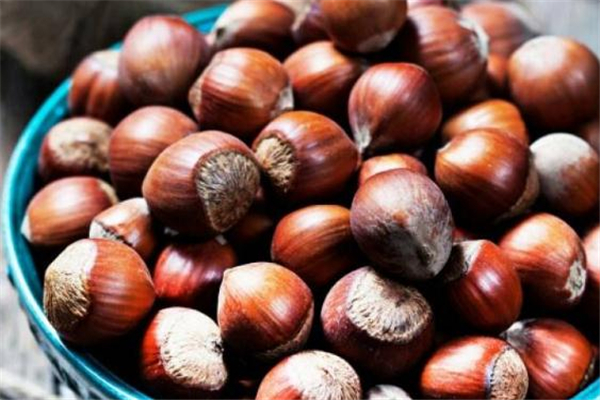 榛子选购技巧(如何挑选榛子)