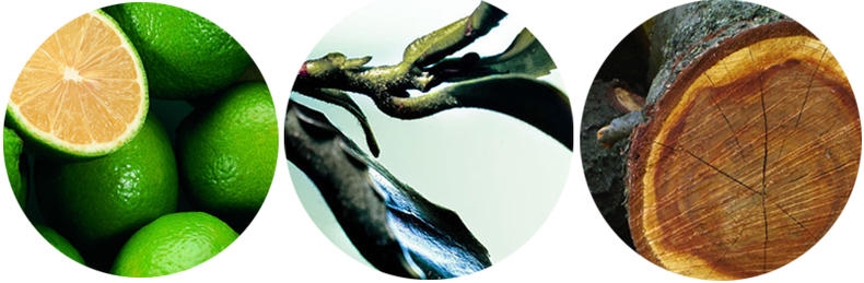 whoo后气垫有几款,whoo后2020樱花限量气垫