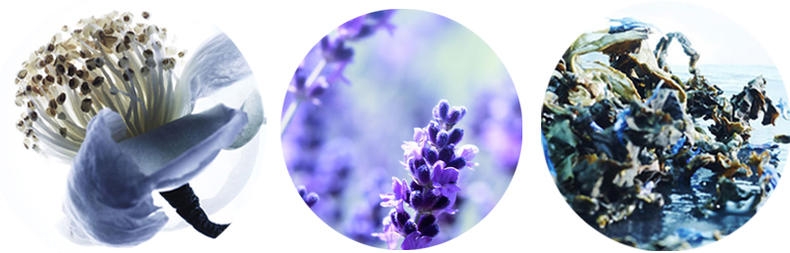 喝什么茶可以减肚子(喝什么茶可以减肚子上的赘肉)