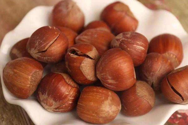 减肥每天能吃多少榛子(减肥榛子每天吃多少颗合适)