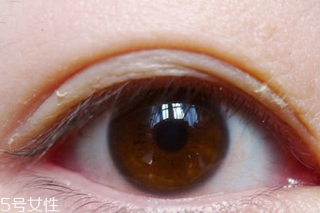 巴黎驼适合黄皮吗