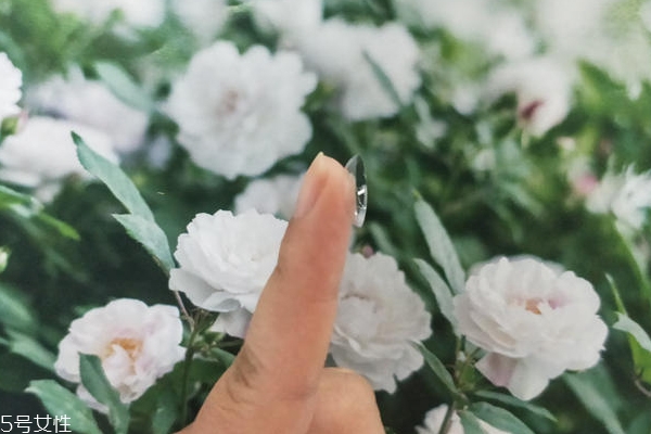 肥胖纹分布位置比妊娠纹广(肥胖纹和妊娠纹区别)