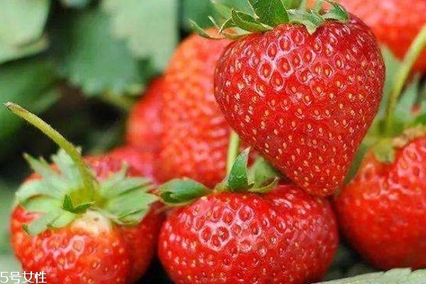 凡士林涂指甲有什么好处,凡士林涂在指甲上会有什么效果 凡士林涂指甲有什么好处,凡士林涂在指甲上会有什么效果