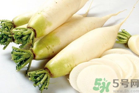 白萝卜的营养成分含量表,白萝卜的营养成分表100g