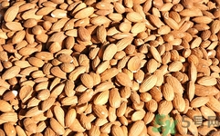 碧根果可以煮粥吗,碧根果仁的营养价值