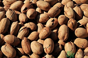 营养价值高的零食有哪些,燕窝的营养价值高吗 营养价值高的零食有哪些,燕窝的营养价值高吗