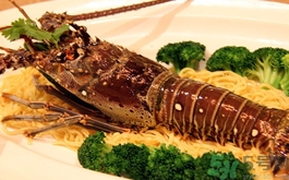 澳洲龙虾的营养价值及功效,澳洲龙虾的营养价值