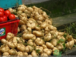 的禁忌人群,禁忌人群什么意思