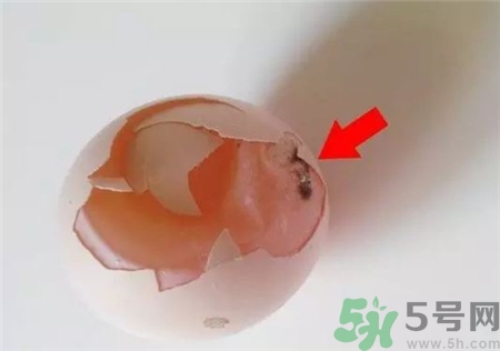 怎么保存鸡蛋不发霉鸡蛋壳发霉了能用来敷脸吗,鸡蛋放冰箱怎么会发霉
