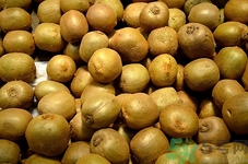 野生猕猴桃怎么催熟更甜,野生猕猴桃怎么催熟更快熟 野生猕猴桃怎么催熟更甜,野生猕猴桃怎么催熟更快熟