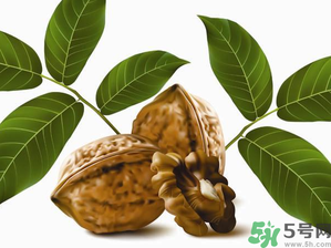 核桃一天吃几个最好?什么时间吃最好?,生的核桃和熟的核桃哪个营养好 核桃一天吃几个最好?什么时间吃最好?,生的核桃和熟的核桃哪个营养好