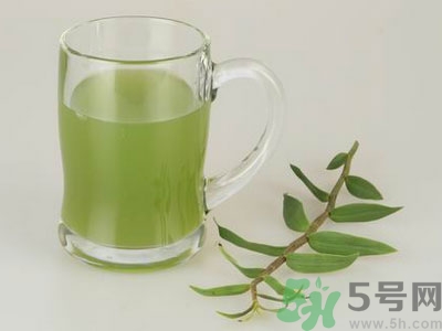 冬枣苹果汁的功效和作用,冬枣苹果汁做法