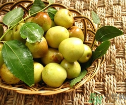 冬枣怎么洗掉农药,冬枣如何清洗农药残留