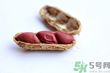 吃枣补血不,吃枣补血有科学依据吗 吃枣补血不,吃枣补血有科学依据吗