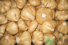 凉薯的功效和作用 凉薯的营养价值,凉薯的营养价值及功效和作用