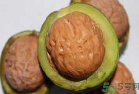 干核桃和湿核桃哪个好,干核桃和湿核桃哪个好吃