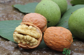 孕妇吃核桃的好处和功效,孕妇吃核桃的好处