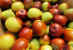 枣核咬碎了有毒吗,枣核打碎了有毒吗