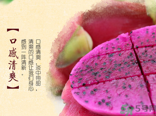 红心火龙果的功效和作用和白心火龙果的区别,红心火龙果的功效和作用是凉性的吗