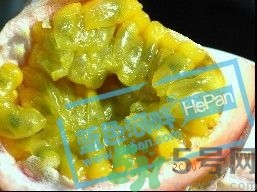 鸡蛋果是什么果,鸡蛋果是什么水果 鸡蛋果是什么果,鸡蛋果是什么水果