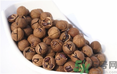 山核桃的功效和作用及禁忌,山核桃油的功效和作用及食用方法