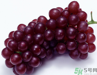 枣子和哪些食物相克,枣子和什么食物相克