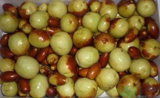 吃青枣子会胖吗,吃青枣子会长胖吗