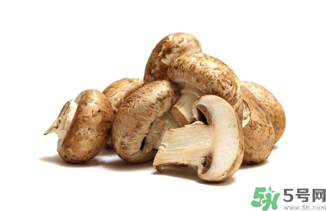 减肥期间吃蘑菇会胖吗,减肥吃蘑菇会胖吗