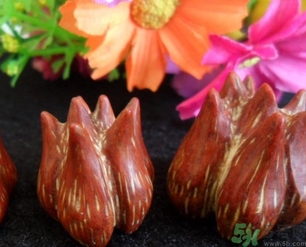 山菠萝有什么药用价值,山菠萝的作用