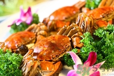 沱湖螃蟹怎么做好吃,沱湖螃蟹价格