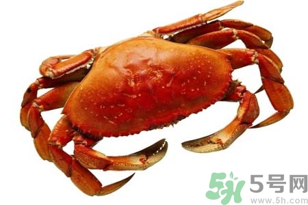 10月份吃什么螃蟹公的好还是母的好,10月份吃什么螃蟹好