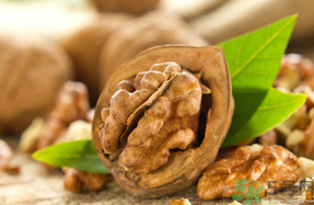 新鲜核桃怎么保存最好,新鲜核桃怎样保存才会保持新鲜 新鲜核桃怎么保存最好,新鲜核桃怎样保存才会保持新鲜