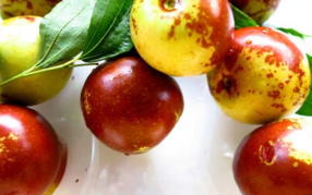 枣子怎么吃,怎样吃枣最有利于健康 枣子怎么吃,怎样吃枣最有利于健康