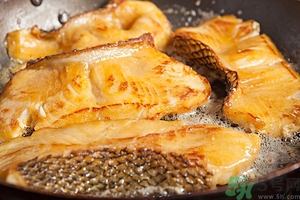 真鳕鱼和银鳕鱼哪个好,银鳕鱼和鳕鱼哪个好 真鳕鱼和银鳕鱼哪个好,银鳕鱼和鳕鱼哪个好