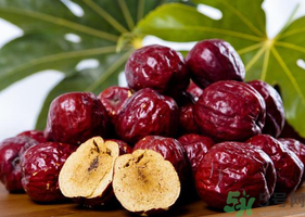 吃什么枣补血最好,补血吃什么枣比较好