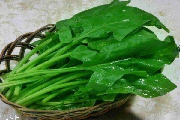 常吃菠菜有什么好处呢(经常吃菠菜有什么好处) 常吃菠菜有什么好处呢(经常吃菠菜有什么好处)