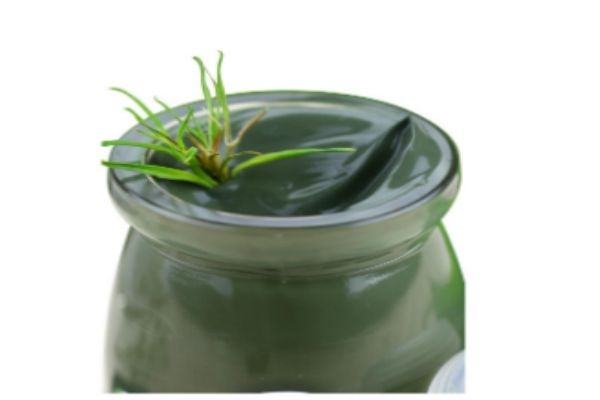 可滋泉的产品怎么样,可滋泉是正规产品吗