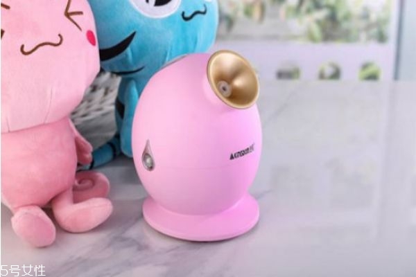 蒸汽美容仪用什么水蒸好,蒸汽美容仪怎么用