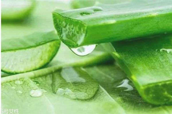 芦荟胶可以吃吗?有什么功效,完美芦荟胶可以吃吗