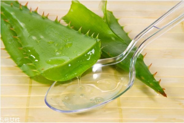 使用芦荟胶会过敏吗,使用芦荟胶会过敏吗长痘吗