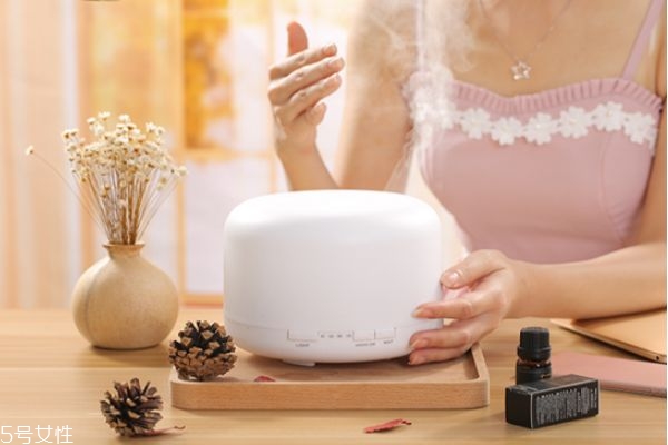 加湿器和蒸脸器的区别,蒸脸仪和加湿器