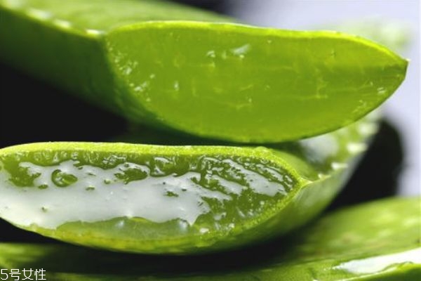 新鲜的芦荟能祛痘吗,鲜芦荟可以祛痘吗