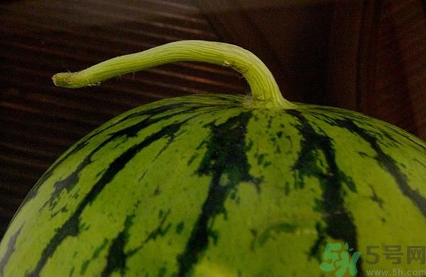 西瓜怎么挑选好的,西瓜怎么挑选好的种子