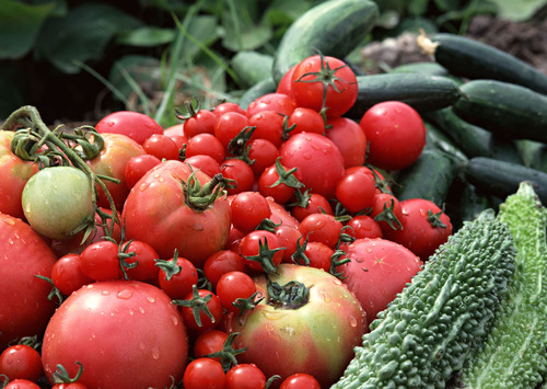 去除苦瓜的苦味方法,怎么去除苦瓜的苦味儿?