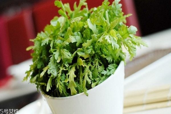 belif面霜好用吗,belif面霜成分表