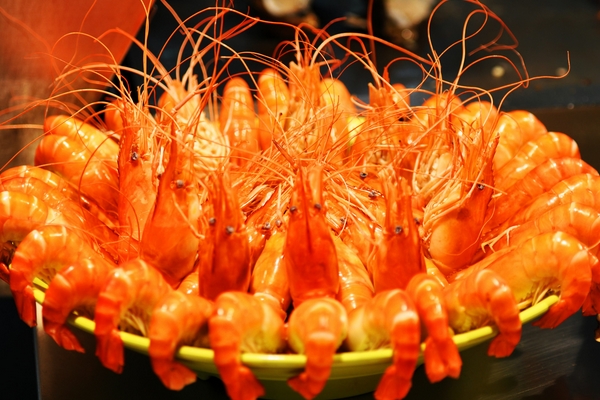 减脂期间晚餐怎么吃最好,晚餐怎么吃最好 减脂期间晚餐怎么吃最好,晚餐怎么吃最好