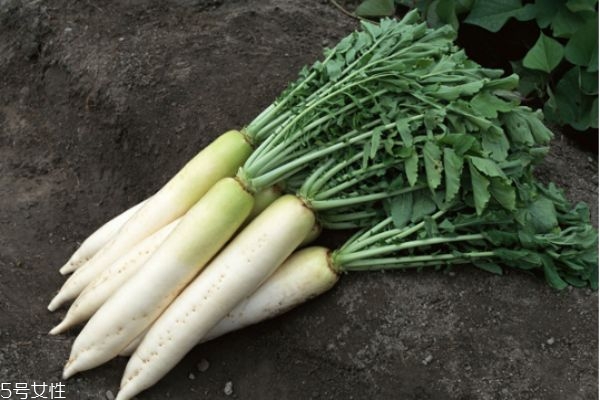 蔬菜的营养价值有哪些,蔬菜的营养价值排名