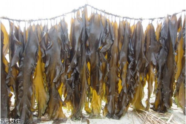 昆布水怎么做,昆布炮制方法 昆布水怎么做,昆布炮制方法