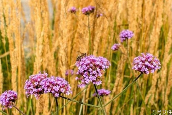 女人低情商怎么改变,女人情商低怎么办